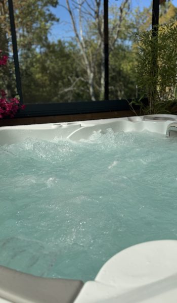 Balisier-Jaccuzi-002